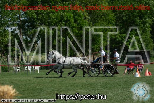 Mintakép 20260531-2863