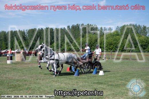 Mintakép 20260531-2864