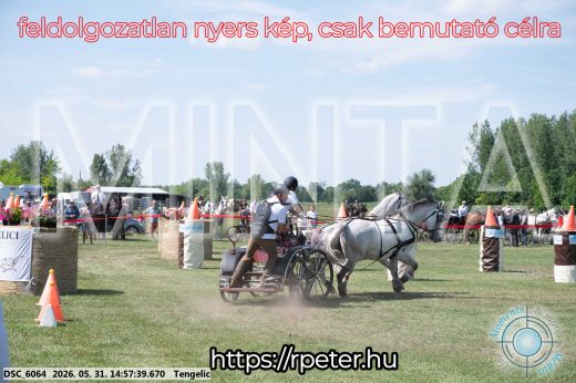 Mintakép 20260531-2866