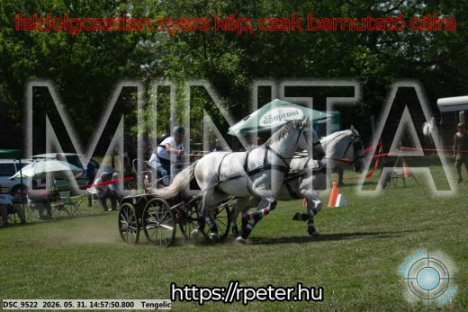Mintakép 20260531-2871