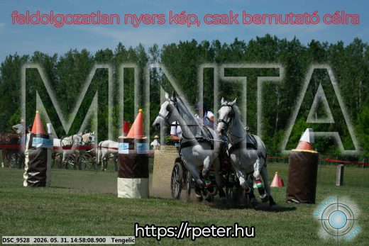 Mintakép 20260531-2873