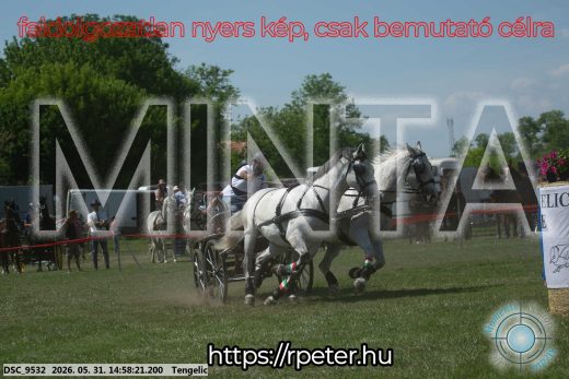 Mintakép 20260531-2876