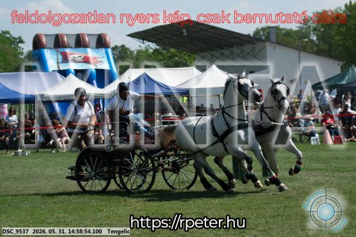 Mintakép 20260531-2879