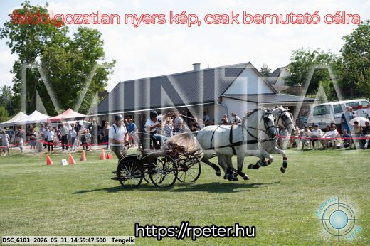 Mintakép 20260531-2886