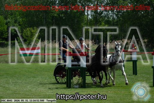 Mintakép 20260531-2901