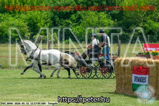 Mintakép 20260531-2904
