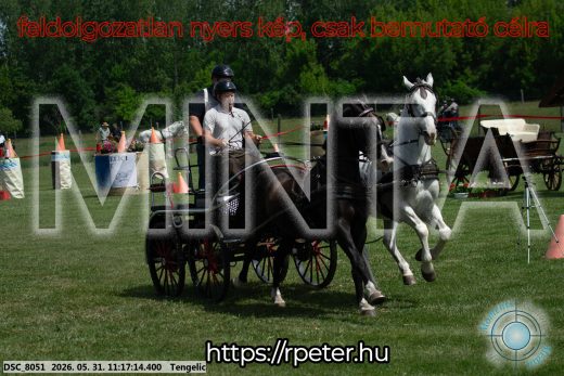 Mintakép 20260531-2909