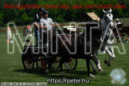 Mintakép 20260531-2910