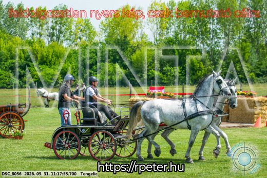 Mintakép 20260531-2911