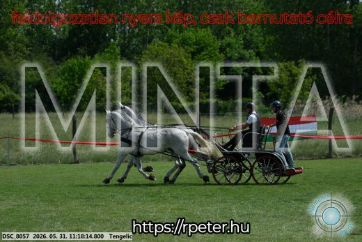 Mintakép 20260531-2912