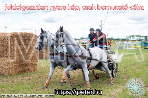 Mintakép 20260613-347