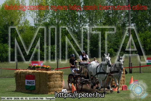 Mintakép 20260531-2922