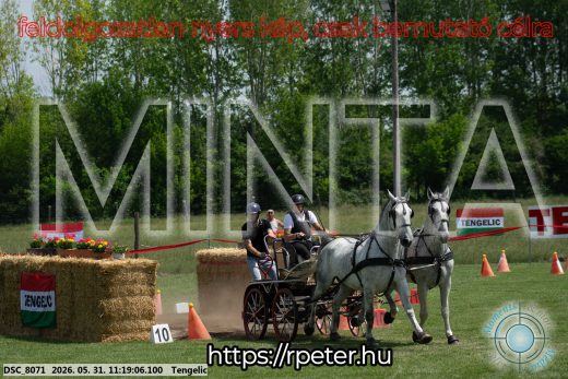 Mintakép 20260531-2923