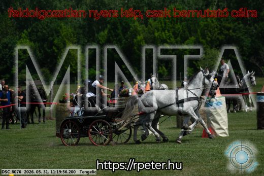 Mintakép 20260531-2927