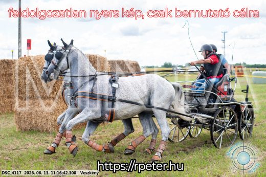 Mintakép 20260613-348