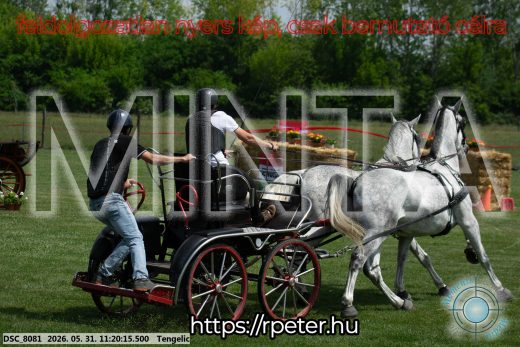 Mintakép 20260531-2932