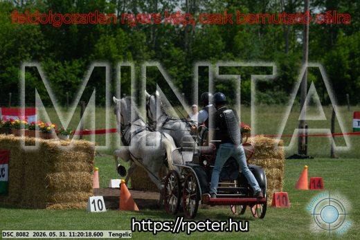 Mintakép 20260531-2933
