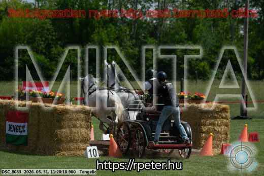 Mintakép 20260531-2934