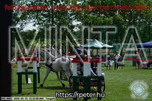 Mintakép 20260531-2940