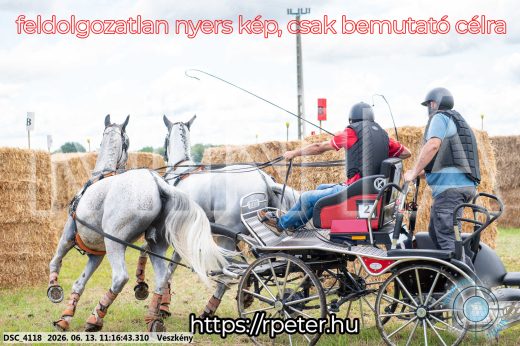 Mintakép 20260613-349
