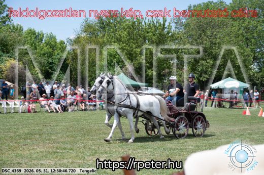 Mintakép 20260531-2954