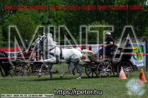Mintakép 20260531-2959