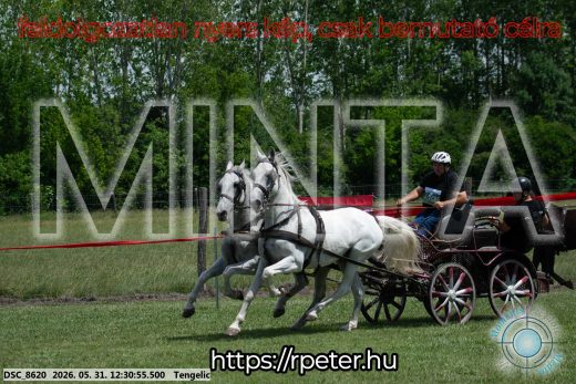 Mintakép 20260531-2962