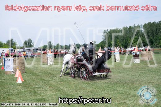 Mintakép 20260531-2965