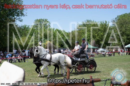 Mintakép 20260531-2971