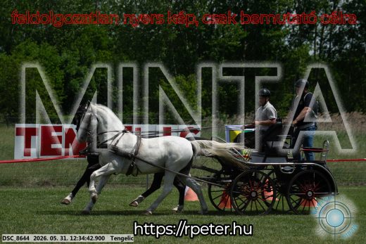 Mintakép 20260531-2977