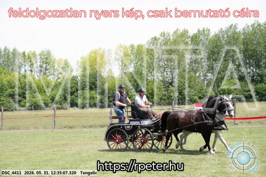 Mintakép 20260531-2984