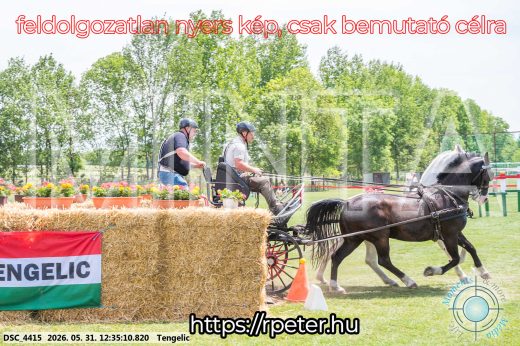 Mintakép 20260531-2987