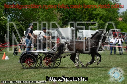 Mintakép 20260531-2992