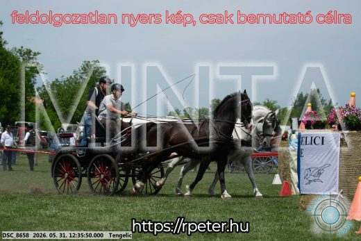 Mintakép 20260531-2998
