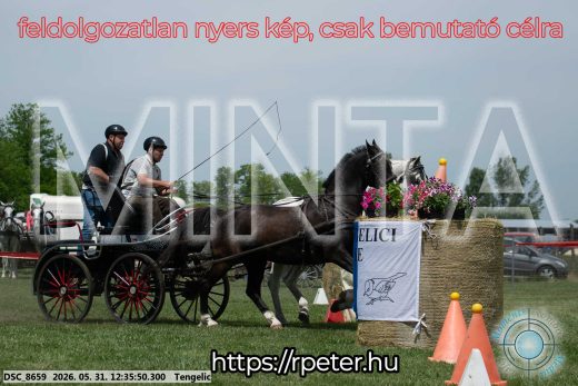 Mintakép 20260531-2999