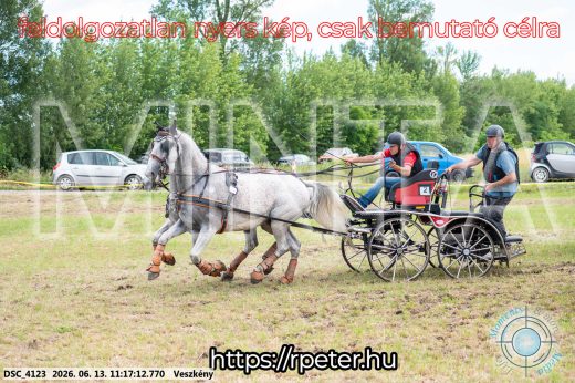 Mintakép 20260613-355