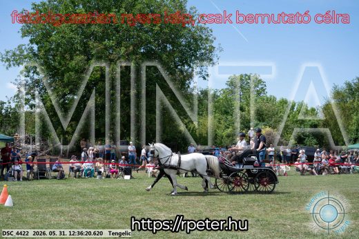 Mintakép 20260531-3005