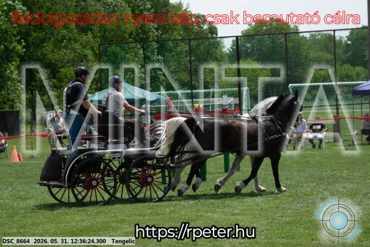 Mintakép 20260531-3010