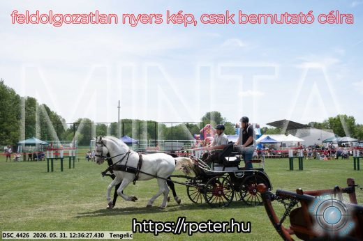 Mintakép 20260531-3011