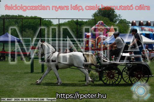 Mintakép 20260531-3017
