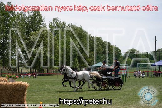Mintakép 20260531-3021