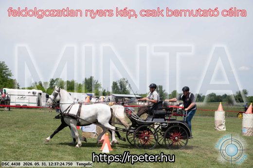 Mintakép 20260531-3024