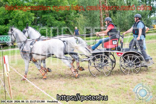 Mintakép 20260613-358