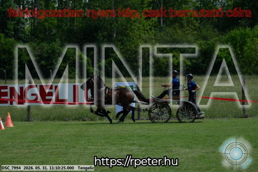Mintakép 20260531-3036