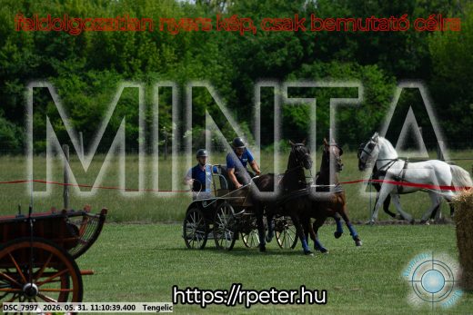 Mintakép 20260531-3039