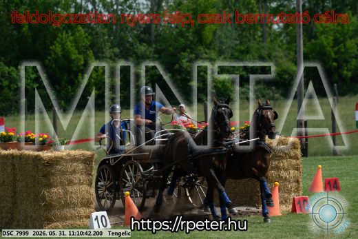 Mintakép 20260531-3041