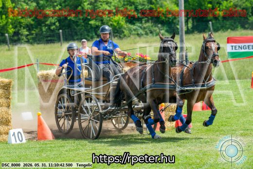 Mintakép 20260531-3042