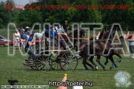 Mintakép 20260531-3048