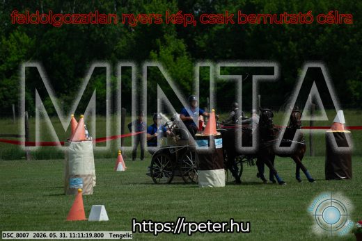 Mintakép 20260531-3049