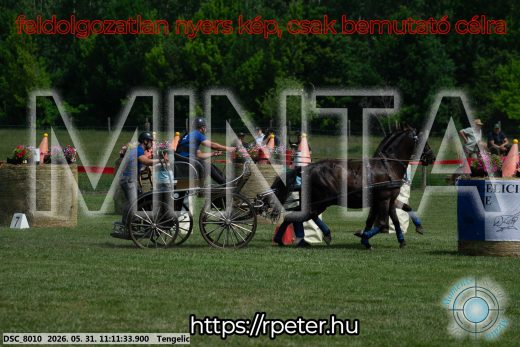 Mintakép 20260531-3052